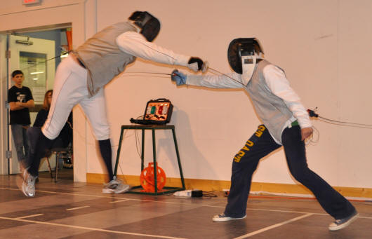 fencing pic