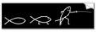 Fencing Graphics